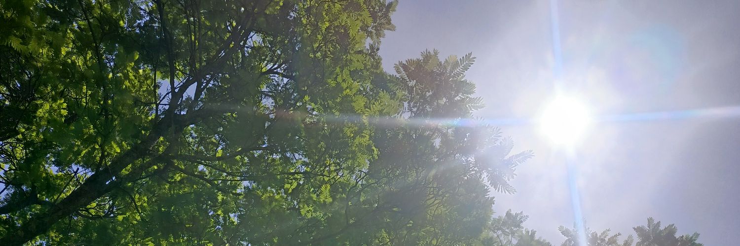 williemanyara's profile banner image