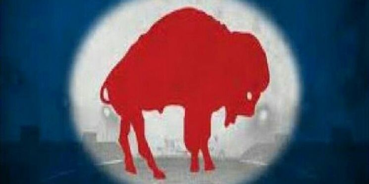 Frohawk_'s profile banner image