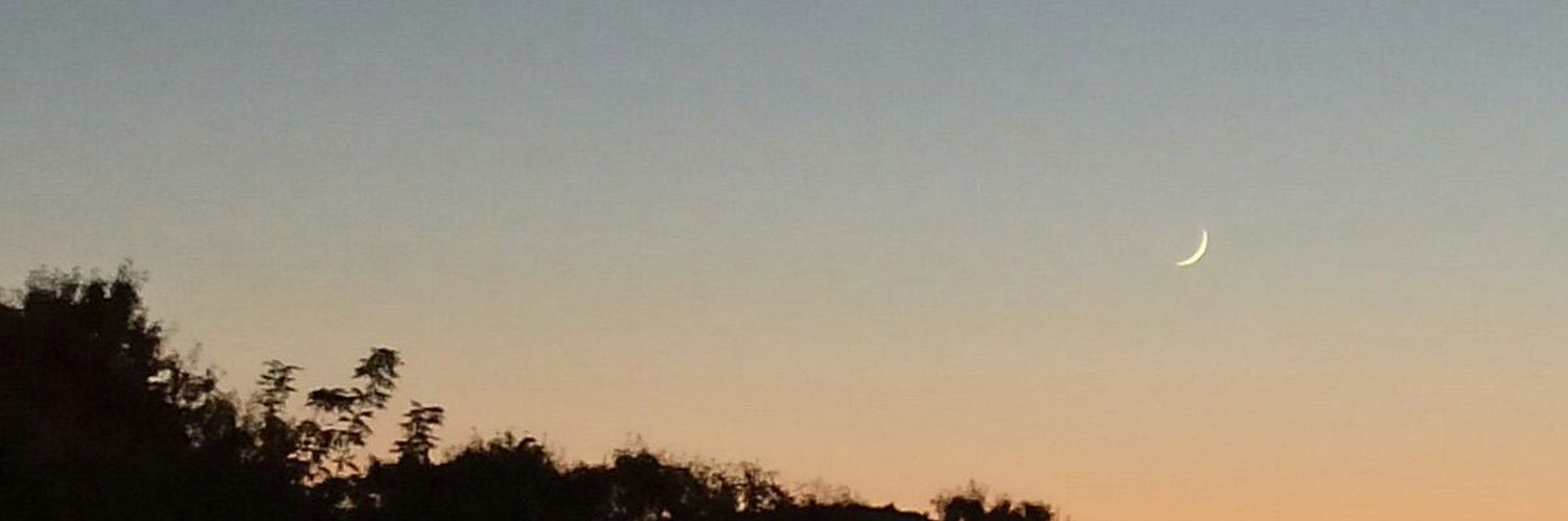 nrgnelif's profile banner image