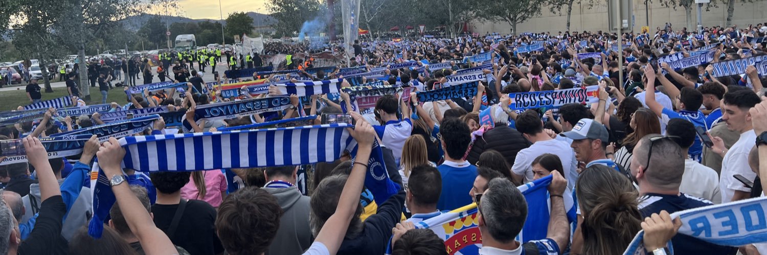 Pericos 🐦🐦 banner