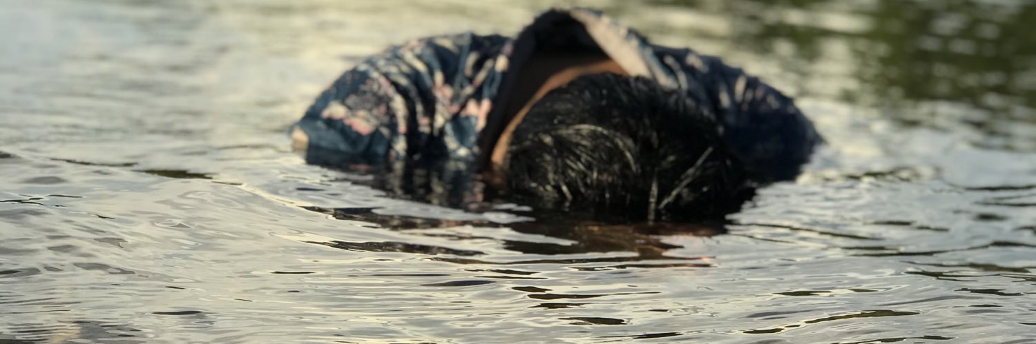hony_br's profile banner image
