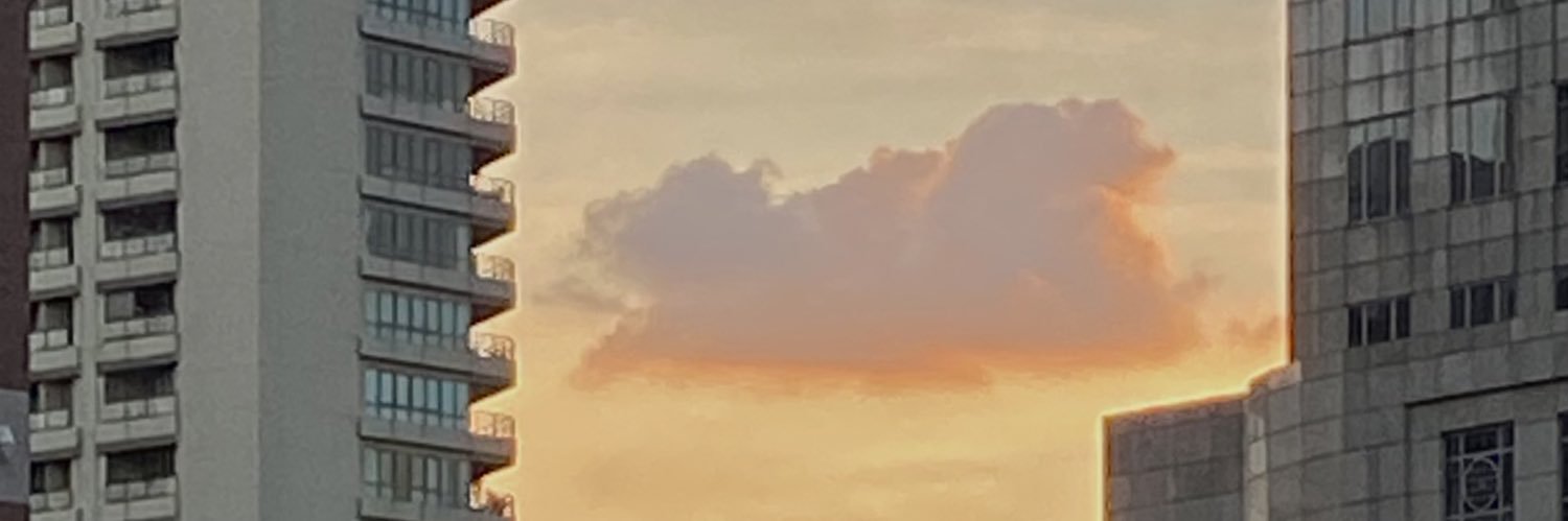 _pptr's profile banner image