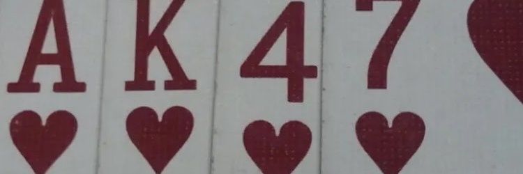 2auberer's profile banner image