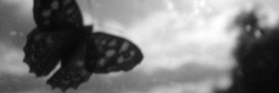 Davide Simonetta banner