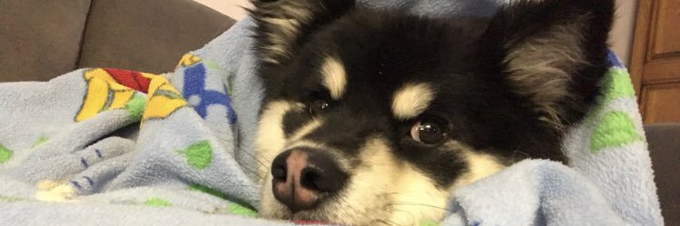EmmaKlein29's profile banner image