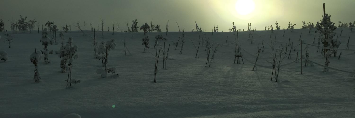 2015_green's profile banner image