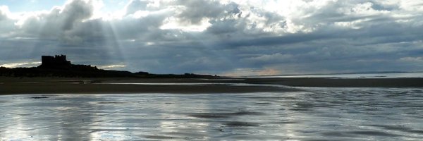 jojopts Profile Banner