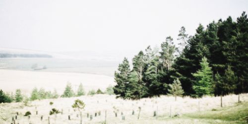 itsvictorinygdr's profile banner image
