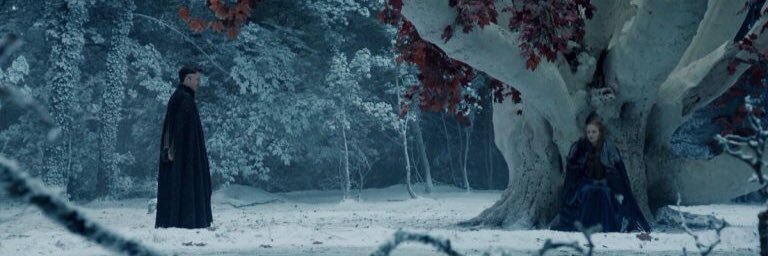 Sansa Stark banner