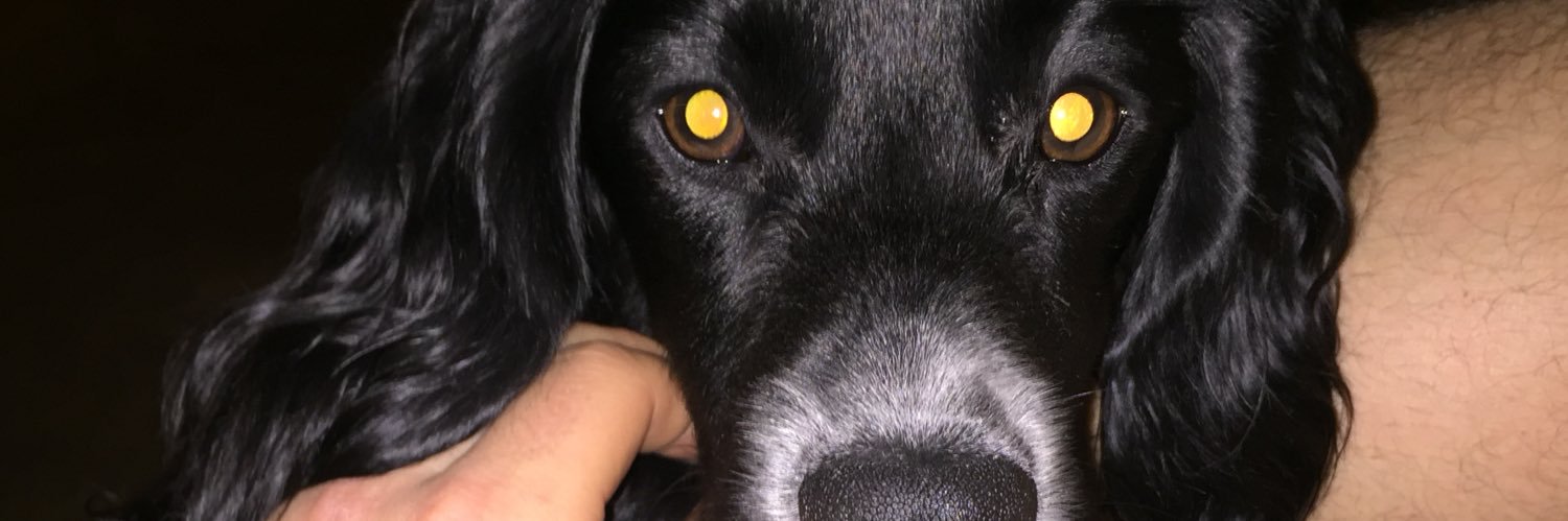 Ryan O'Neill PGA banner