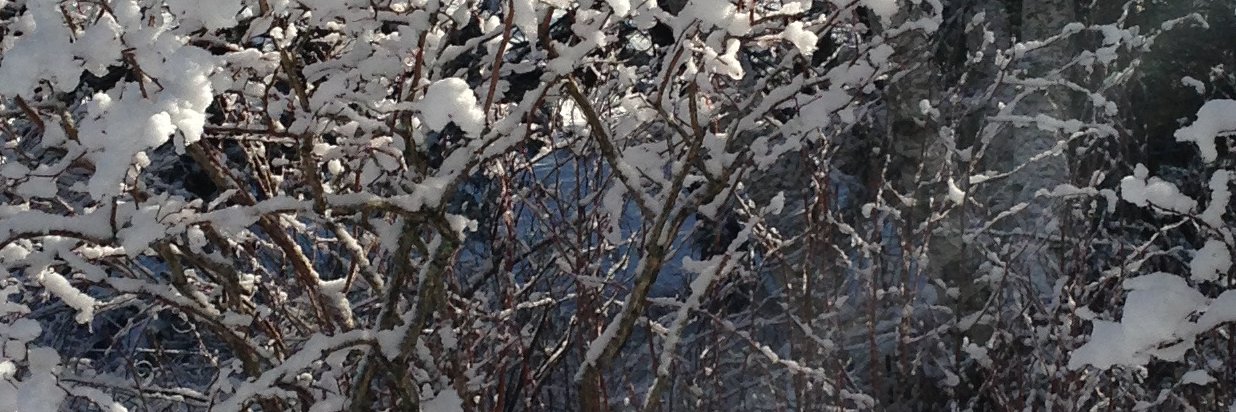 Cecily Winter: getting my act together. banner