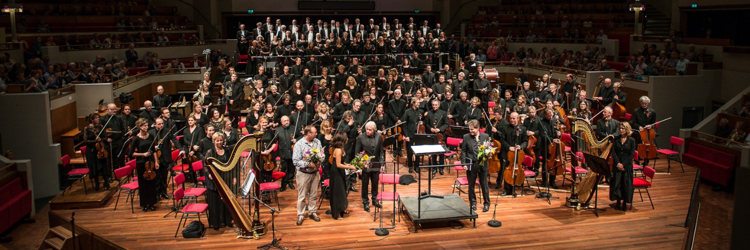 Robin de Raaff banner