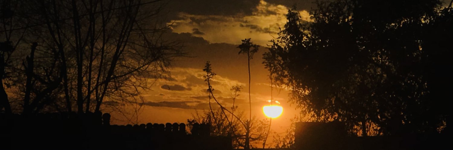 sAim_butt's profile banner image