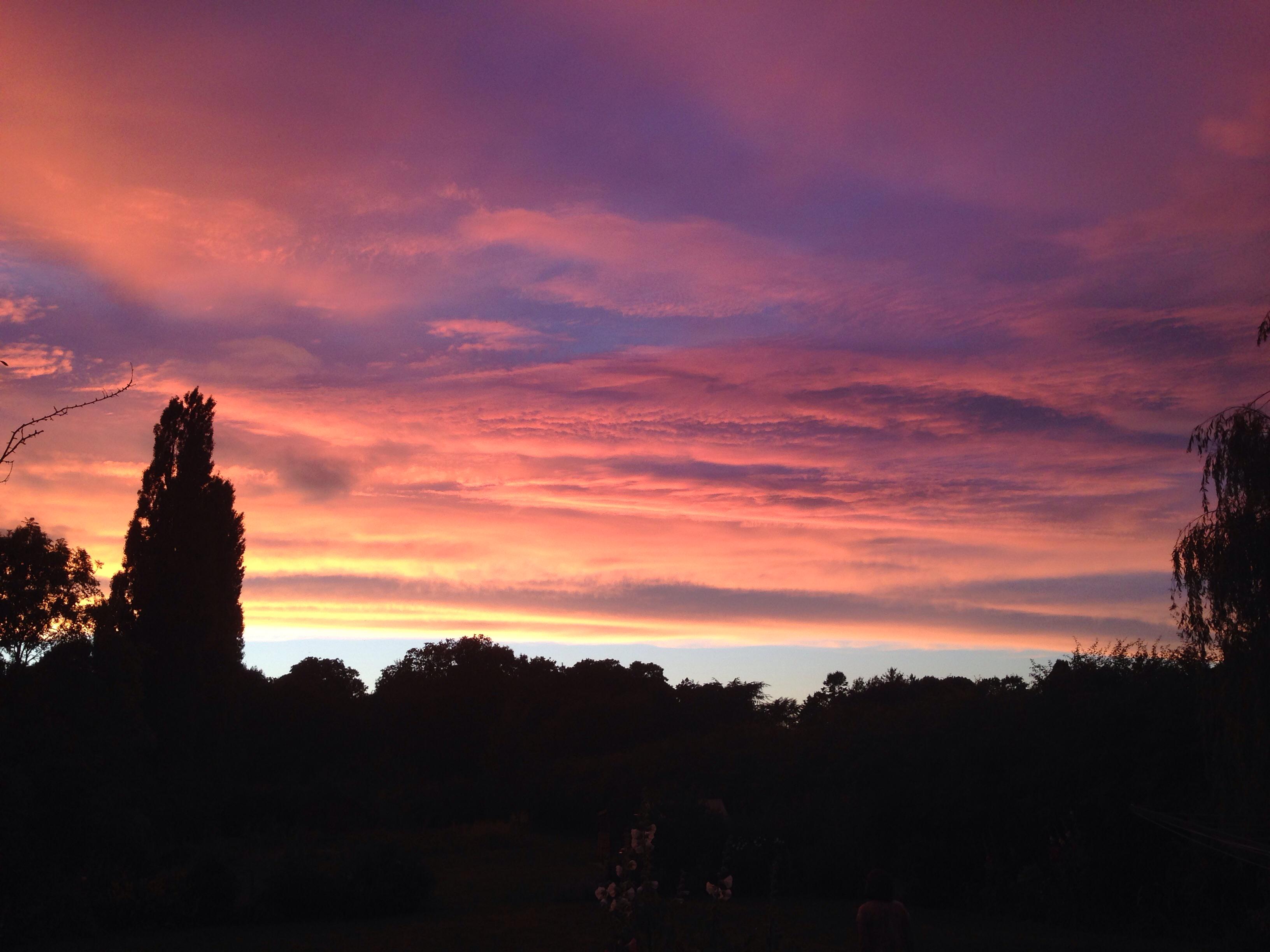 Neuropathology banner