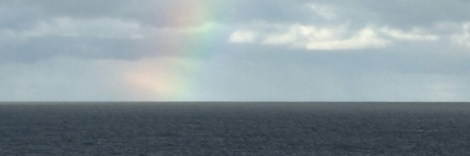 Marie-Laure Croguennec banner