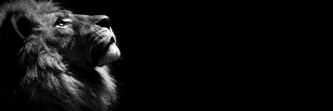 ghrrba1's profile banner image