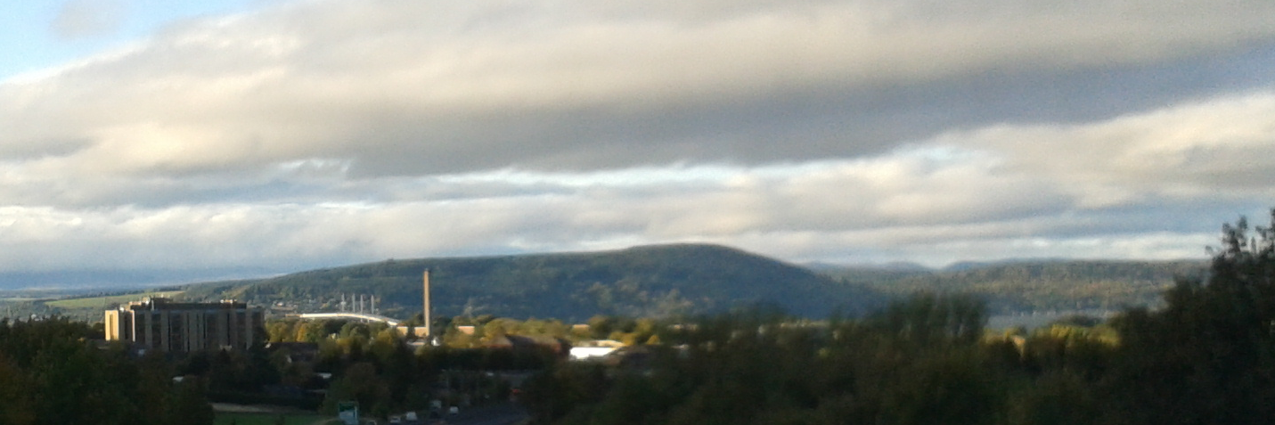 Pamela Struth banner