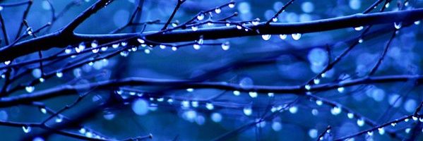 sws18028's profile banner image