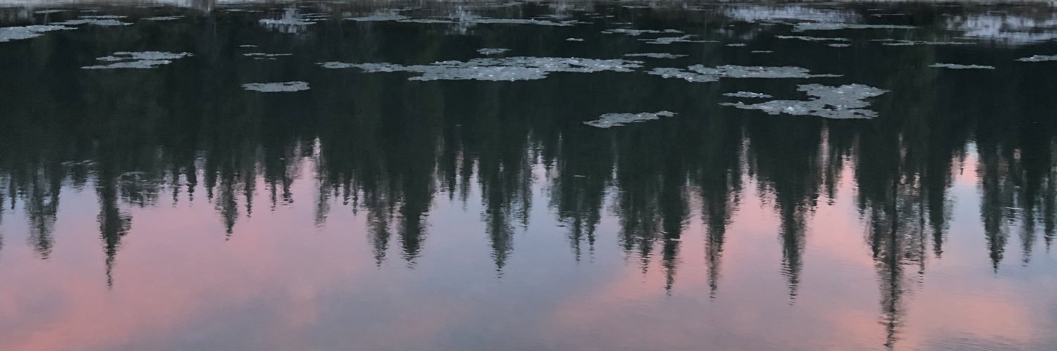 misping's profile banner image