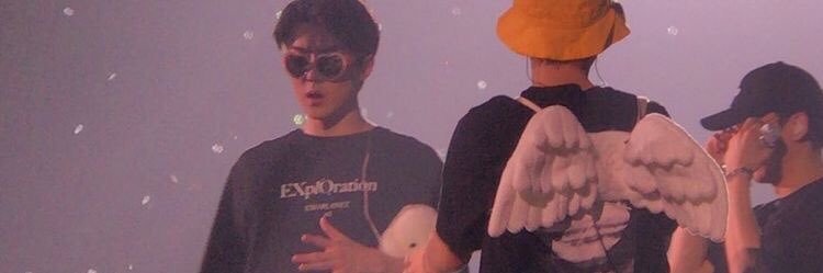 bwing ʕ•ᴥ•ʔ banner