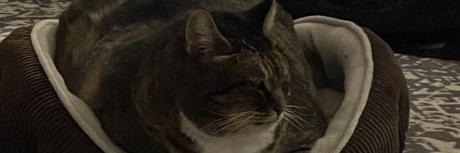 Princess Weekes Discourse Free banner