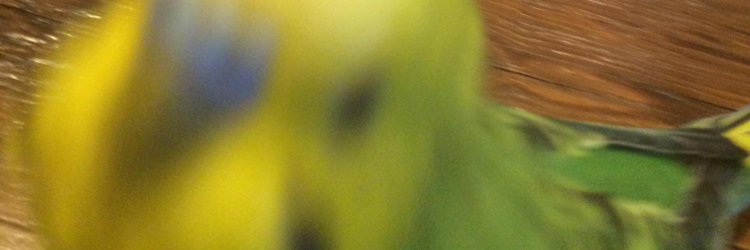 mand3915's profile banner image