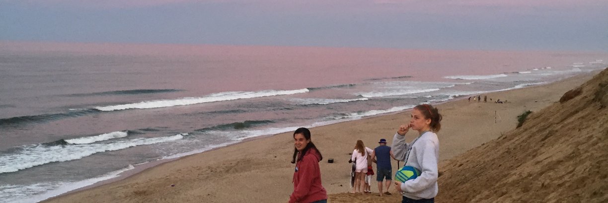 alyssatortora's profile banner image