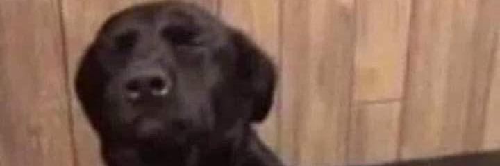 c_arcez's profile banner image