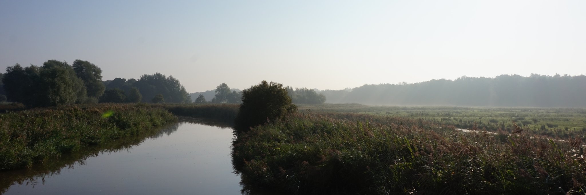 SamTowler's profile banner image