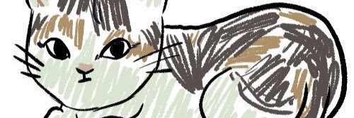 2pepperdiary's profile banner image