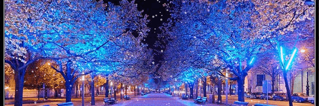 2512Natali's profile banner image