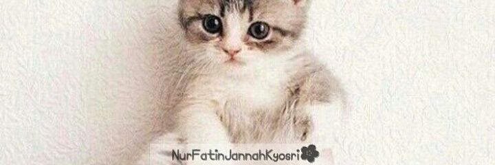 JannahFatien's profile banner image