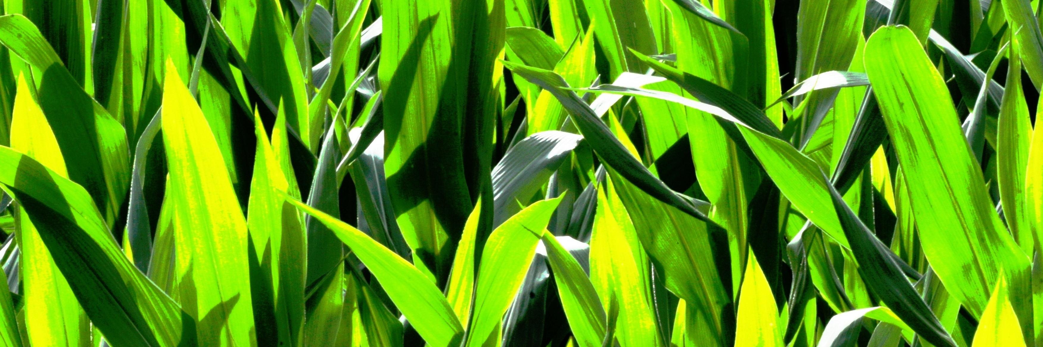 DocMixfix's profile banner image
