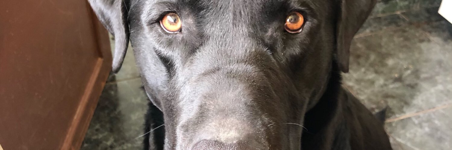 DacilBatista's profile banner image