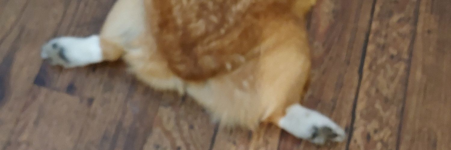 alenabb69's profile banner image