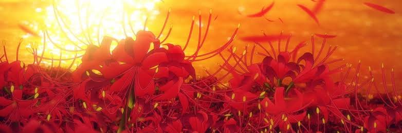 pest1464's profile banner image