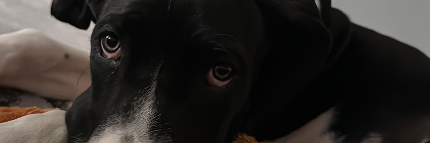 manarte_'s profile banner image