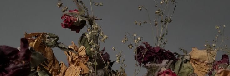 ReaganElise1's profile banner image