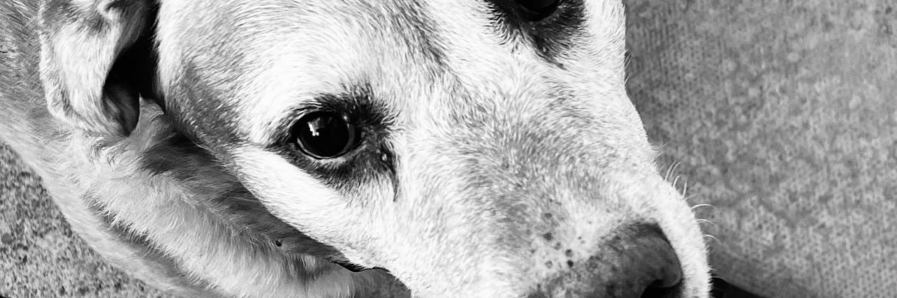 CourtneyGille20's profile banner image