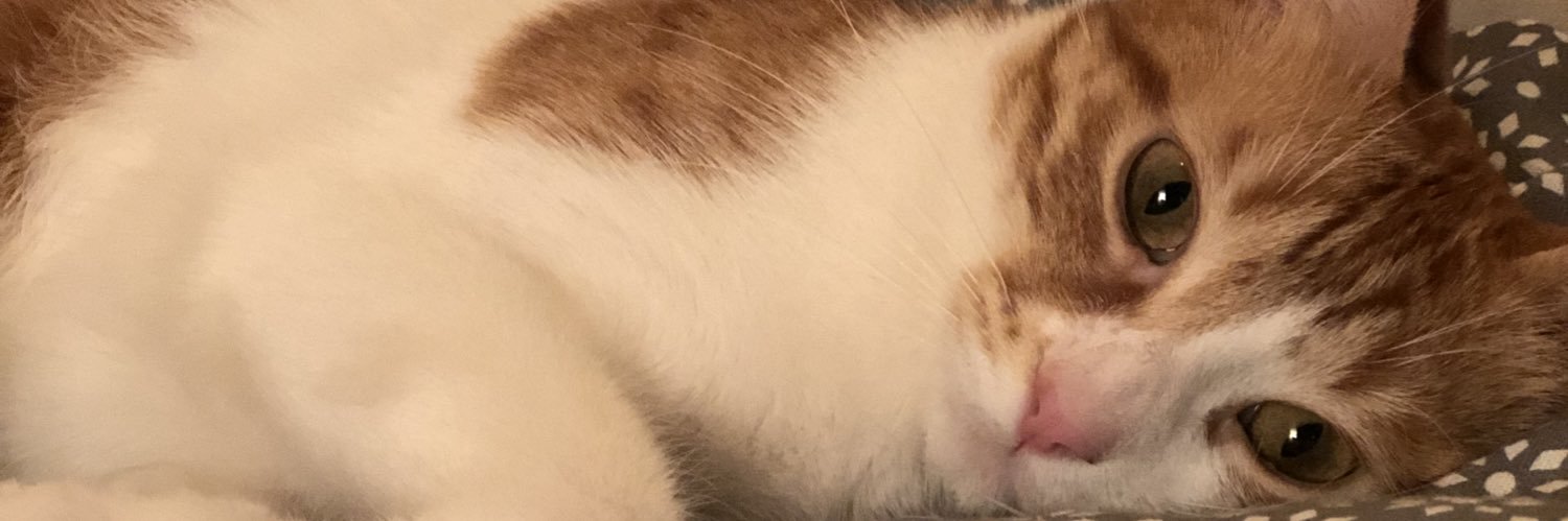 Alxcrdnl_'s profile banner image
