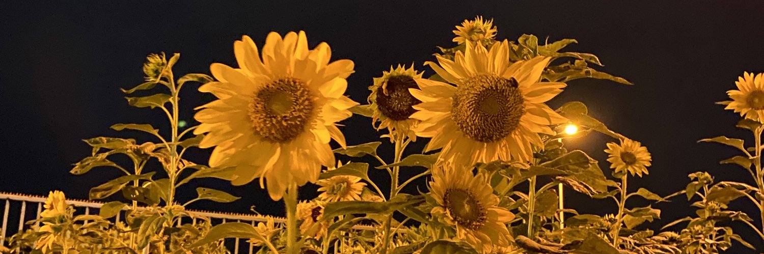 ___516a's profile banner image
