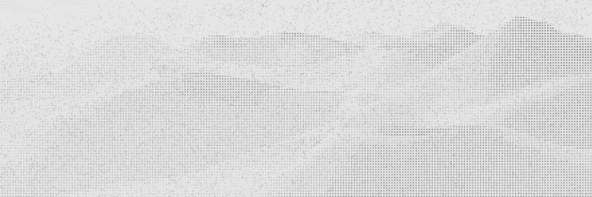 Pedro banner