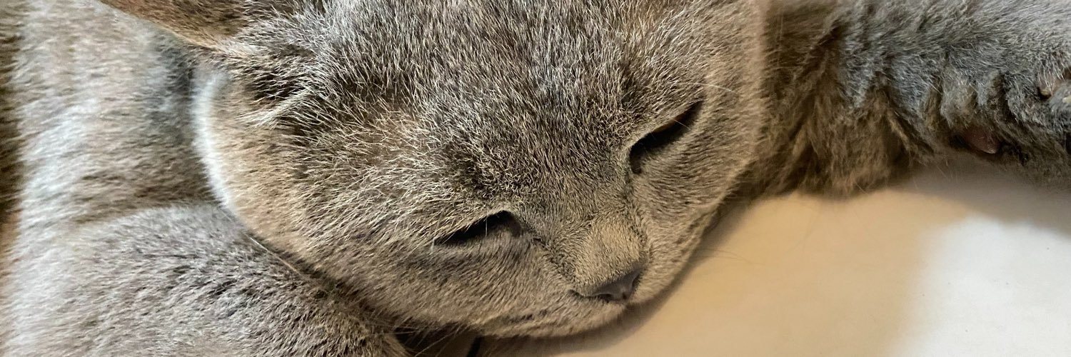 mrsdandelions's profile banner image