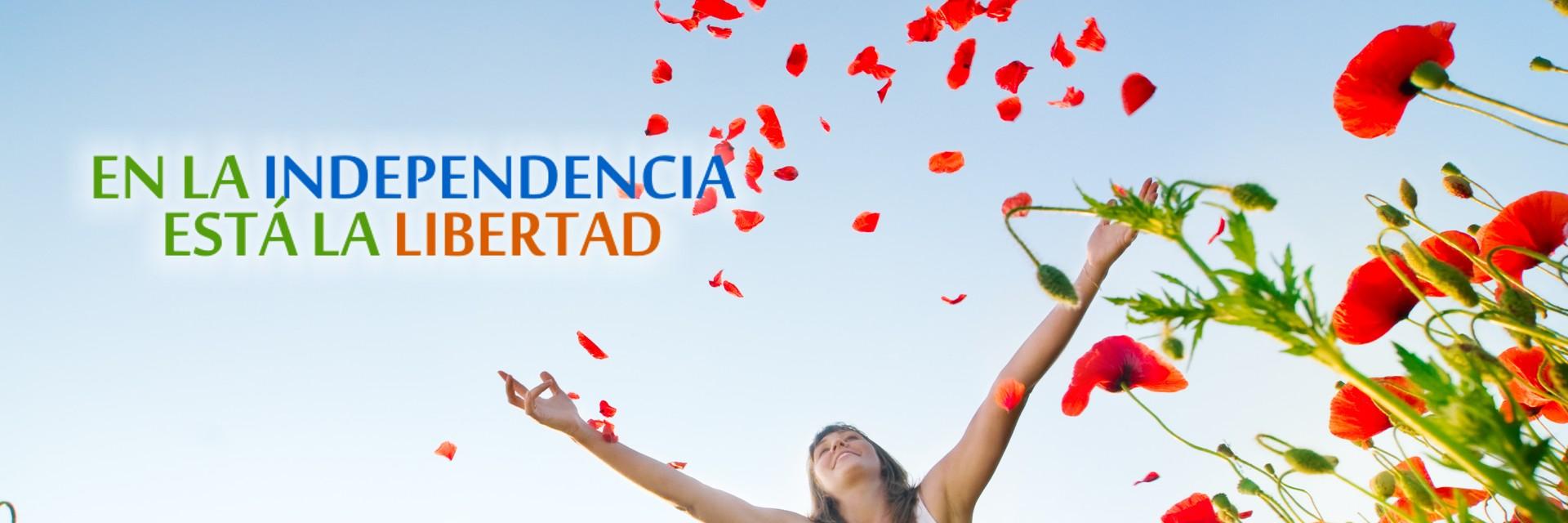PIU-TORROX  banner