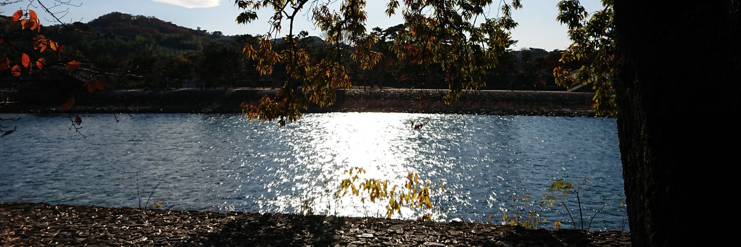 taxi_P's profile banner image