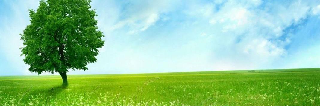 POL223Kaiser's profile banner image