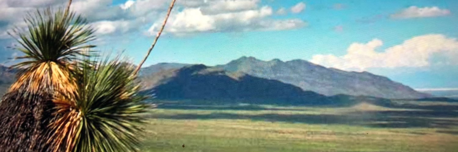 Kay D’Antonio 🇺🇸 🌻 🟧 banner