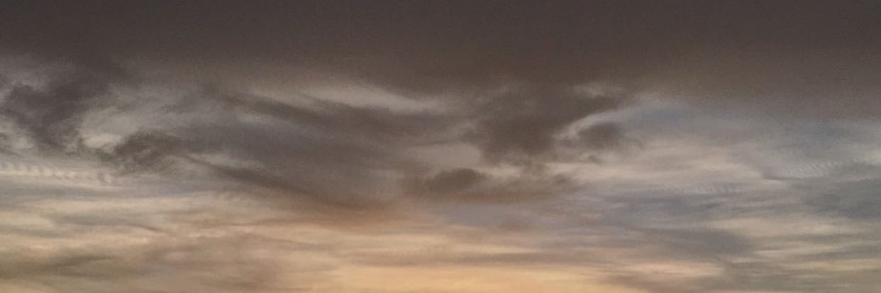 laceyyjohnson's profile banner image