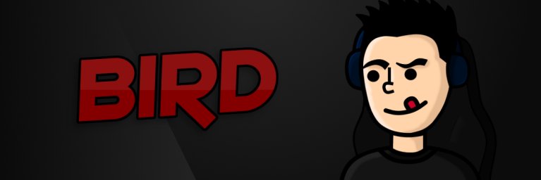 BirdZy9's profile banner image
