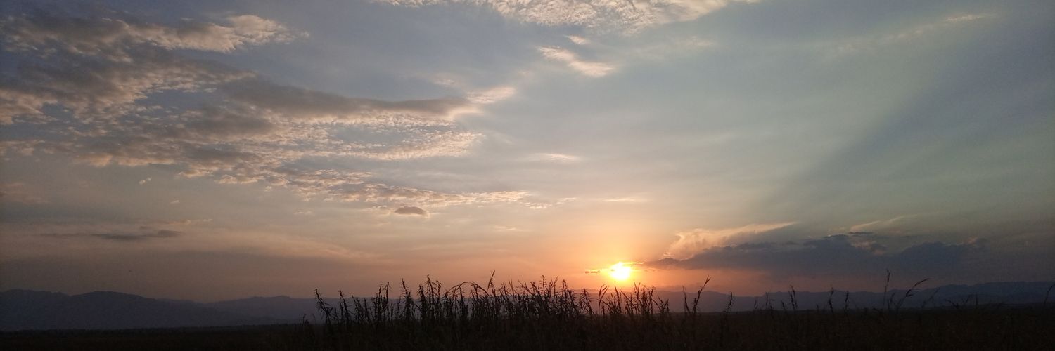 Alulasis's profile banner image